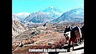 Kanchi Lai Mohani Jal Ma Original YouTube [upl. by Novehc697]