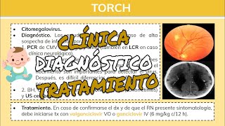 ⚕️🩺 Infecciones Congénitas TORCH RUBEOLA CITOMEGALOVIRUS HERPES SIMPLE VARICELA [upl. by Ecirtap]