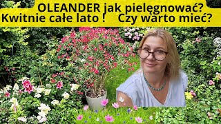 Oleander rośliny śródziemnomorskie Jak uprawiać OLEANDRA cięcie nawożenie pielęgnacja OGRÓD OGRODY [upl. by Esoj]