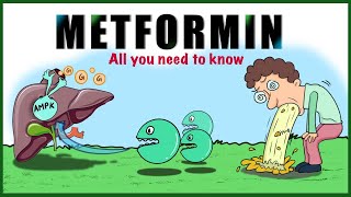 Metformin Uses Mechanism of action Side effects Contraindications [upl. by Aranat]