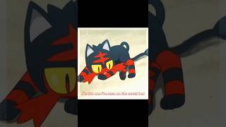 Litten  The Milk Carton  Pokemon Edit [upl. by Rella466]