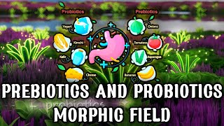 Prebiotics and Probiotics Morphic Field – Ultimate Gut Flora Optimization [upl. by Oinesra]