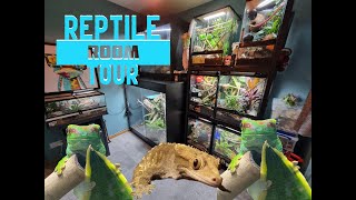 SSR Tour Reptile Room Layout Geckos Dragons Beardies amp Uromastyx [upl. by Acirne]