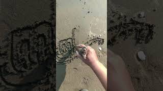 Ambrial calligraphy graffiti lettering art fyp [upl. by Etiam]