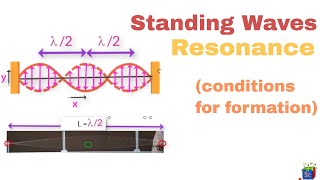 Physics Waves part 20 Nodes Antinodes  Closed at both ends CBSE class 11 [upl. by Nibot227]