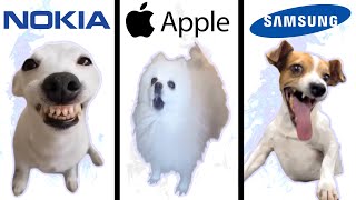 Dog Memes but famous phone ringtones [upl. by Edmund]