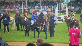 Shetland pony Grand National at Burghley horse trials [upl. by Salba]