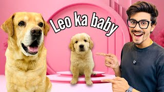 Leo Ka Baby  Papa Ban Gaya Leo  Anant Rastogi [upl. by Kavita]