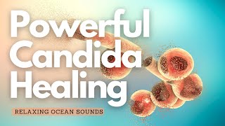 ❉ Candida Relief and Healing  Isochronic Tone 427 Hz  Rife frequencies  Relaxing Ocean Sounds [upl. by Eleynad]