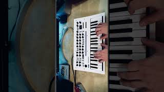 Korg Minilogue XD sounds korg synth shorts [upl. by Baggott]