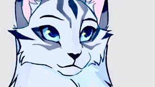 Silverstream Edit  Warrior Cats [upl. by Ennail]