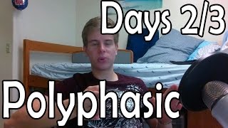 Polyphasic Sleep Diary Days 2 and 3  Switching to Everyman 2 [upl. by Sheedy544]