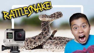 RATTLESNAKE BIT MY GOPRO [upl. by Eicaj]