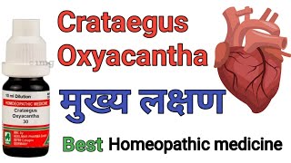 Crataegus Oxyacantha q 1x mother tincture homeopathic medicine benifits amp Uses in hindi [upl. by Domenic655]