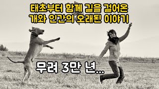 태초부터 함께 해온 개와 인간의 3만 년 간의 이야기 [upl. by Emmons202]