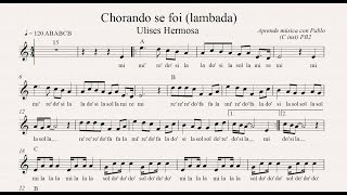 CHORANDO SE FOI  LAMBADA PB2 flauta violín oboe partitura con playback [upl. by Ellenwahs]