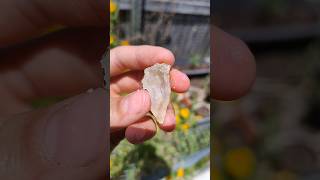 Beautiful botryoidal druzy geode cut open from Redcliffe thefinders crystals [upl. by Sharman]