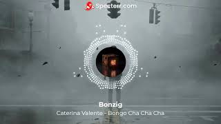 Caterina Valente  Bongo Cha Cha Cha Goodboys Extended Remix Tech House [upl. by Gustie780]