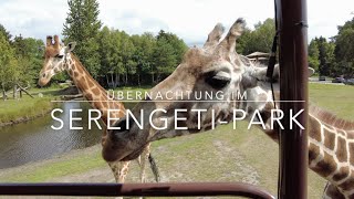 Übernachtung im SERENGETIPARK Hodenhagen [upl. by Pavla]