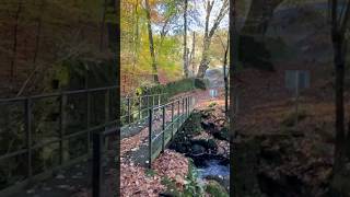 Autumn Walks Nidderdale outdoors Autumnadventures lifeisgood [upl. by Gerdi]