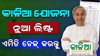 Kalia Yojana New List Check Online  How To Check Kalia Yojana Beneficiary List 2023 Odisha [upl. by Balcke462]