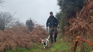 Allt yr Esgair Circular Walk [upl. by Hako17]