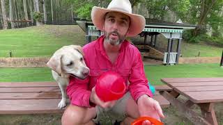 Farm Dog Review of the KONG Jumbler Ball [upl. by Till]