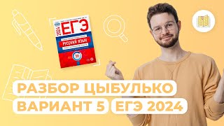 Разбор сборника Цыбулько I Вариант 5 I Русский язык I ЕГЭ2024 [upl. by Ezarra]