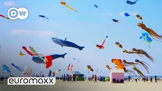 Biggest Kite Festival in Europe  Up in the Air in BercksurMer France [upl. by Haropizt]