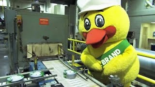 How Duck Tape is Made [upl. by Talich]