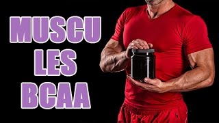 Comment prendre de la BCAA en musculation  Les effets des acides aminés [upl. by Toscano]