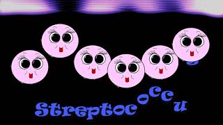 Shapes of Prokaryotic Cells  Bacteria and Archaea Cells [upl. by Hayott]