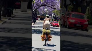 CYCLING INTO THE SPRING cycling cycle bike bikelife roadbike roadcycling [upl. by Acey]