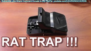 RAT TRAP Powerful Jaws by Kat Sense REVIEW [upl. by Idalina525]