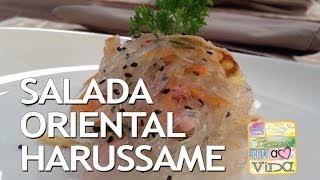 De Bem Receitas  Salada oriental de Harussame 13052014 [upl. by Epstein]