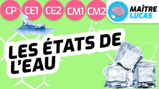 Les différents états de leau CE2  CP  CE1  CM1 Cycle 2  Cycle 3  Sciences Questionner le monde [upl. by Ahsennod]