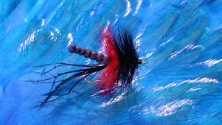 Fly Tying A Bibio Dapping Fly with Martyn White [upl. by Ahsiekin]