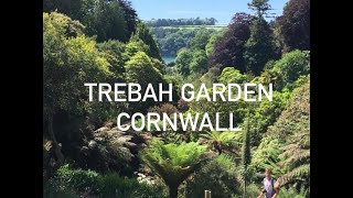 Trebah garden visit in Cornwall A subtropical paradise [upl. by Lac]