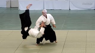 UESHIBA Moriteru Doshu  57th All Japan Aikido Demonstration 2019 [upl. by Hcnarb]