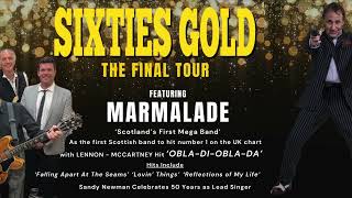 Sixties Gold  The Final Tour [upl. by Harpole]