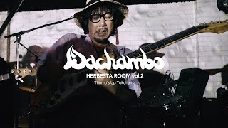 DACHAMBO Live  Thumbs Up PART12【 HERBESTA ROOM vol2】 [upl. by Annwahs513]