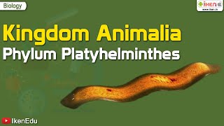 Kingdom Animalia Phylum Platyhelminthes  Biology  iKen  iKenEdu  iKenApp [upl. by Lecram]