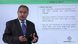 Java Essentials  What is java [upl. by Lubin663]