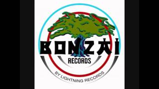 Bonzai Records  Da Hool [upl. by Bissell43]