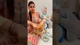 Parnjldhaia doggi k sath msti rkte huye dog parnjaldhaiya doglover [upl. by Nareik]