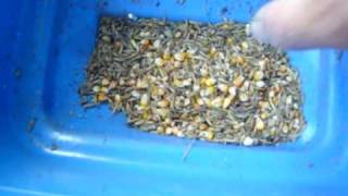 Electric mill part 2  corn  oats [upl. by Ronile729]