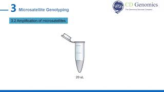 Microsatellite Genotyping [upl. by Malcolm996]