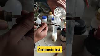 salt analysis Carbonate test class12 chemistry [upl. by Ettevets]