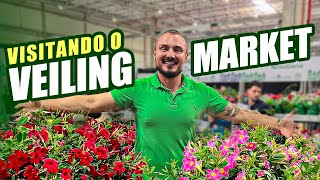 Visitei a maior feira de PLANTAS e FLORES do Brasil  VEILING MARKET com Murilo Soares [upl. by Derek978]