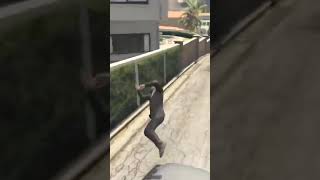 GTA 5  WHAOOOOO GTA V Funny Moments [upl. by Bussey]